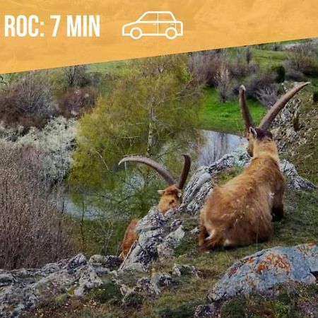 Appartamento Au Pied Des Cols Et Des Stations Saint-Michel-de-Maurienne Esterno foto
