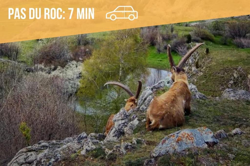 Appartamento Au Pied Des Cols Et Des Stations Saint-Michel-de-Maurienne Esterno foto